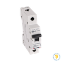 AUTOMATICO MONOFASICO 1X10A BTICINO  / CURVA C - 6K