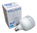 AMPOLLETA LED 30W E27 WELLMAX 6.500K